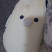 ヒメ日記 2025/11/27 11:24 投稿 あさひ チューリップ福井本館