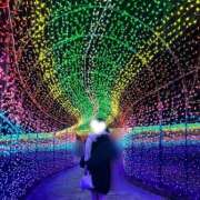 ヒメ日記 2024/12/19 17:15 投稿 あずさ 若葉