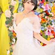 ヒメ日記 2026/01/11 13:38 投稿 あずさ 若葉