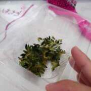 ヒメ日記 2025/05/02 09:34 投稿 あさひ チューリップ福井別館