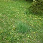 ヒメ日記 2025/05/24 21:35 投稿 あさひ チューリップ福井別館