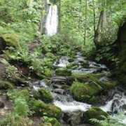 ヒメ日記 2025/06/30 22:34 投稿 あさひ チューリップ福井別館