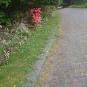 ヒメ日記 2025/07/11 13:04 投稿 あさひ チューリップ福井別館