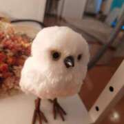 ヒメ日記 2025/07/20 18:24 投稿 あさひ チューリップ福井別館