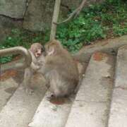 ヒメ日記 2025/07/22 21:24 投稿 あさひ チューリップ福井別館