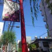 ヒメ日記 2025/09/16 21:34 投稿 あさひ チューリップ福井別館