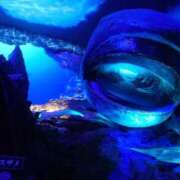 ヒメ日記 2025/09/17 21:34 投稿 あさひ チューリップ福井別館