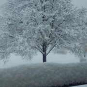 ヒメ日記 2025/11/08 10:31 投稿 あさひ チューリップ福井別館