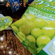 ヒメ日記 2026/03/30 13:04 投稿 桜葉りほ 五十路マダム愛されたい熟女たち 福山店(カサブランカグループ)