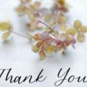 ヒメ日記 2026/04/14 18:46 投稿 桜葉りほ 五十路マダム愛されたい熟女たち 福山店(カサブランカグループ)