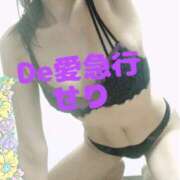 ヒメ日記 2025/02/20 08:52 投稿 新人 せりｻﾝ De愛急行 栗東インター店