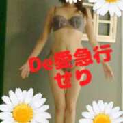 ヒメ日記 2025/07/03 09:00 投稿 新人 せりｻﾝ De愛急行 栗東インター店