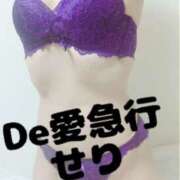 ヒメ日記 2025/10/08 12:05 投稿 新人 せりｻﾝ De愛急行 栗東インター店