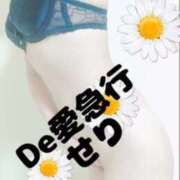 ヒメ日記 2026/05/26 11:53 投稿 新人 せりｻﾝ De愛急行 栗東インター店