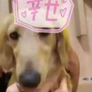 ヒメ日記 2025/03/24 16:16 投稿 中村りんか ウルトラブレイズ