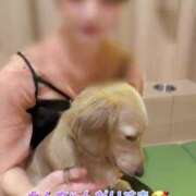 ヒメ日記 2025/05/25 12:09 投稿 中村りんか ウルトラブレイズ