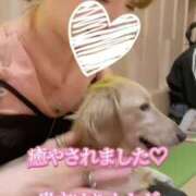 ヒメ日記 2025/05/31 01:56 投稿 中村りんか ウルトラブレイズ