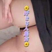 ヒメ日記 2025/11/01 05:16 投稿 中村りんか ウルトラブレイズ