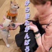 ヒメ日記 2025/11/10 08:16 投稿 中村りんか ウルトラブレイズ