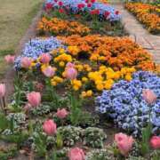 ヒメ日記 2025/04/09 21:01 投稿 みり 即アポマダム～名古屋店～