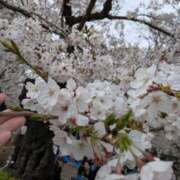 ヒメ日記 2026/03/30 19:54 投稿 みり 即アポマダム～名古屋店～