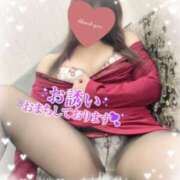 ヒメ日記 2025/02/12 15:02 投稿 みり 即アポ奥さん〜名古屋店〜