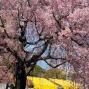 ヒメ日記 2025/04/07 18:51 投稿 みり 即アポ奥さん〜名古屋店〜