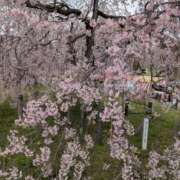 ヒメ日記 2026/03/30 23:11 投稿 みり 即アポ奥さん〜名古屋店〜