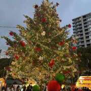 ヒメ日記 2024/12/18 14:12 投稿 香織/Kaori ジュリエット