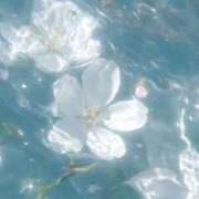 ヒメ日記 2026/04/03 10:33 投稿 香織/Kaori ジュリエット