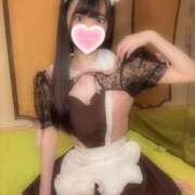 ヒメ日記 2025/02/06 09:26 投稿 みこ ZERO-i