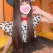 ヒメ日記 2025/04/12 22:26 投稿 みこ ZERO-i