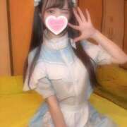 ヒメ日記 2025/04/20 09:26 投稿 みこ ZERO-i