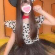 ヒメ日記 2025/04/25 15:50 投稿 みこ ZERO-i