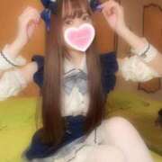 ヒメ日記 2025/05/19 08:36 投稿 みこ ZERO-i