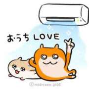 ヒメ日記 2025/07/24 15:34 投稿 みこ ZERO-i