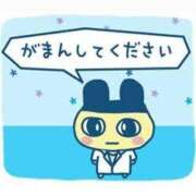 ヒメ日記 2025/08/17 15:26 投稿 みこ ZERO-i