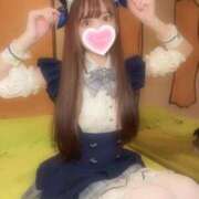 ヒメ日記 2025/11/15 09:26 投稿 みこ ZERO-i