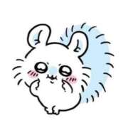 ヒメ日記 2025/12/11 15:26 投稿 みこ ZERO-i