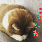 ヒメ日記 2026/05/01 08:40 投稿 葉月りん おもてなし妻