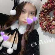 ヒメ日記 2024/12/23 14:54 投稿 SHIINA GINGIRA☆TOKYO～ギンギラ東京～