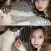 ヒメ日記 2025/04/01 18:17 投稿 SHIINA GINGIRA☆TOKYO～ギンギラ東京～