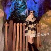 ヒメ日記 2026/01/26 22:19 投稿 SHIINA GINGIRA☆TOKYO～ギンギラ東京～