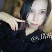 SHIINA 急遽います꜀(^. .^꜀ )꜆੭ GINGIRA☆TOKYO～ギンギラ東京～