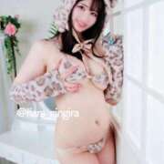 ヒメ日記 2025/03/03 23:14 投稿 RIARA GINGIRA☆TOKYO～ギンギラ東京～