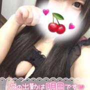 ヒメ日記 2025/03/30 23:11 投稿 しおん ピーチハニー