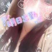 ヒメ日記 2025/04/02 00:34 投稿 しおん ピーチハニー