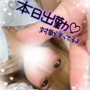 ヒメ日記 2025/05/01 06:13 投稿 しおん ピーチハニー