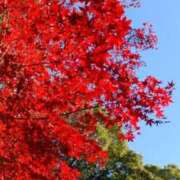 ヒメ日記 2024/12/17 14:59 投稿 みさき 11チャンネル