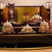 ヒメ日記 2025/03/02 19:55 投稿 みさき 11チャンネル